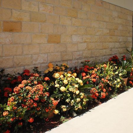 Country View Motel Ilbilbie المظهر الخارجي الصورة